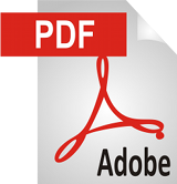 PDF Reports